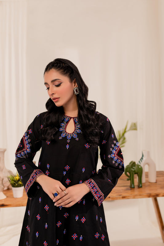 2PC Embroidered Dress- EBF01